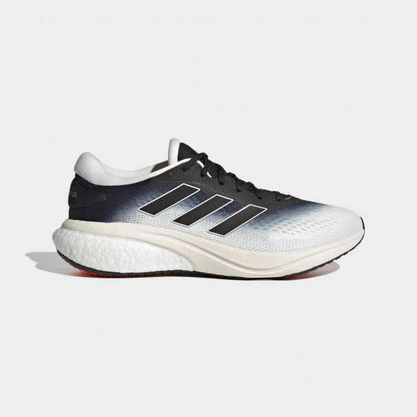 Chaussure Supernova 2.0